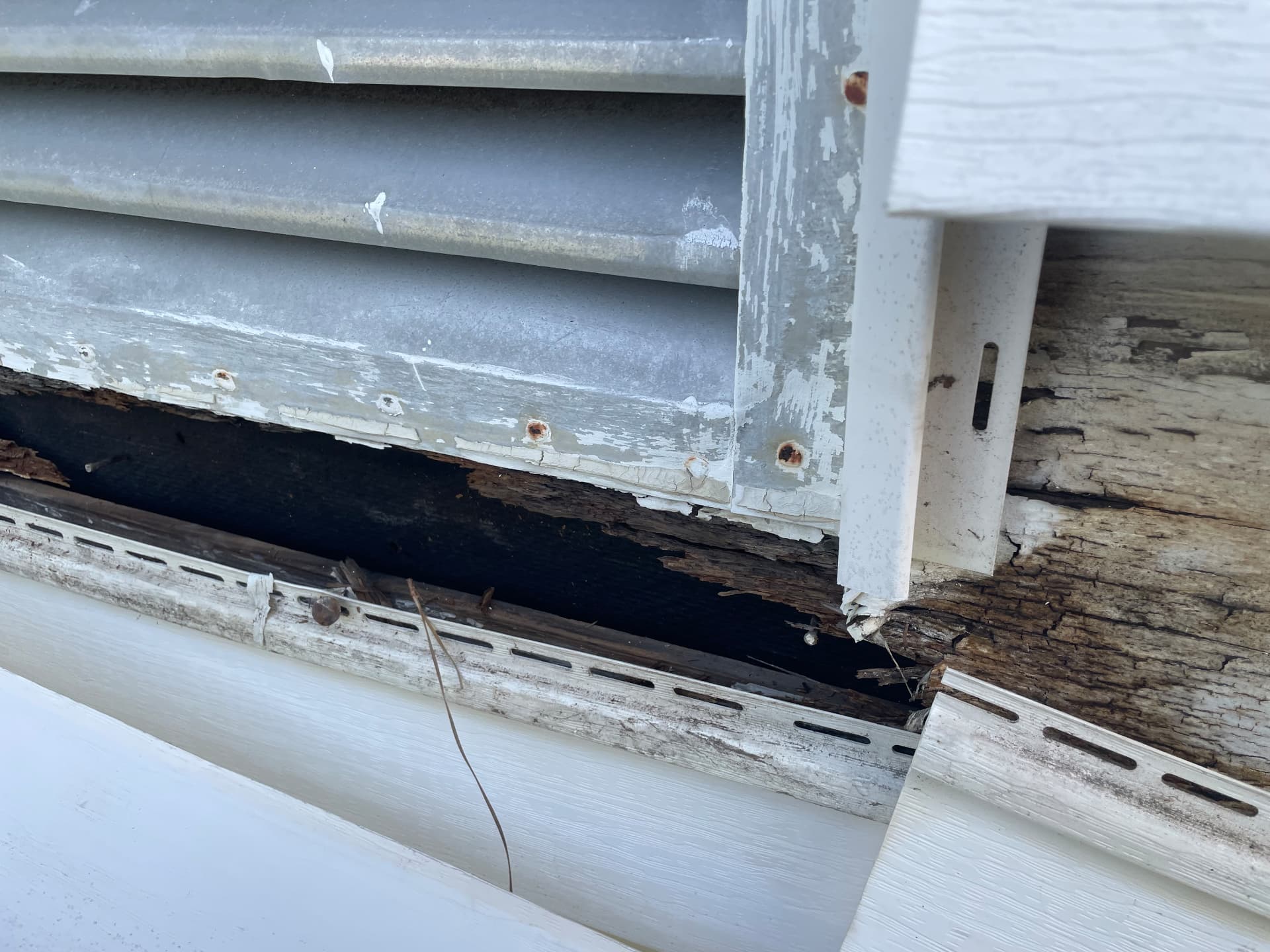 Close-up of rotten darkened wood sheathing under siding in Metairie