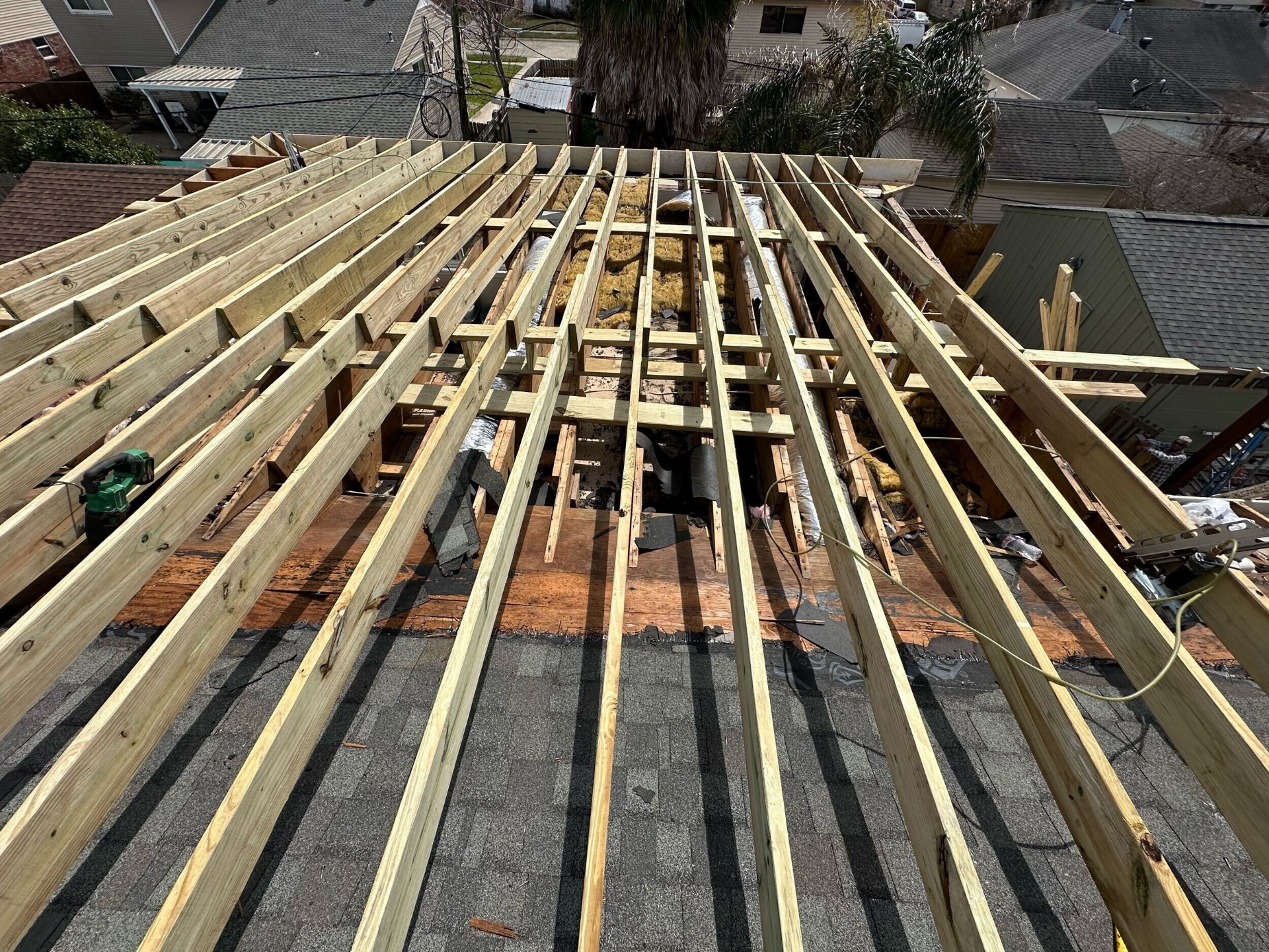 New pressure-treated rafter framing installed overhead over the existing shingle roof at Blanke Street Metairie whole-home remodel