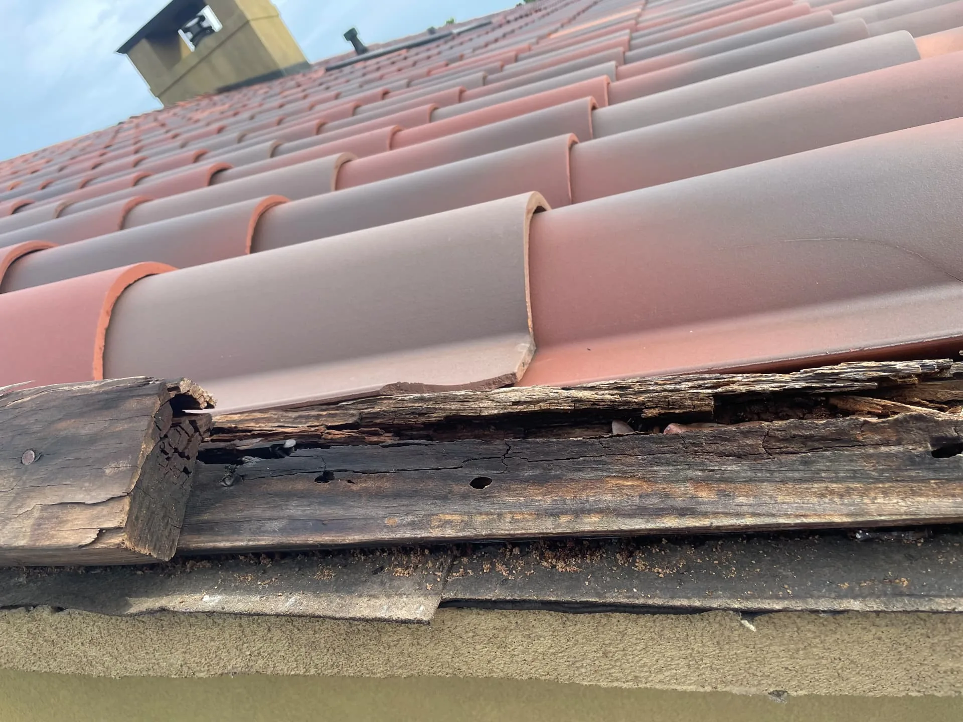 Close view of a rotten fascia board along the rake of a terra cotta tile roof in Metairie Louisiana