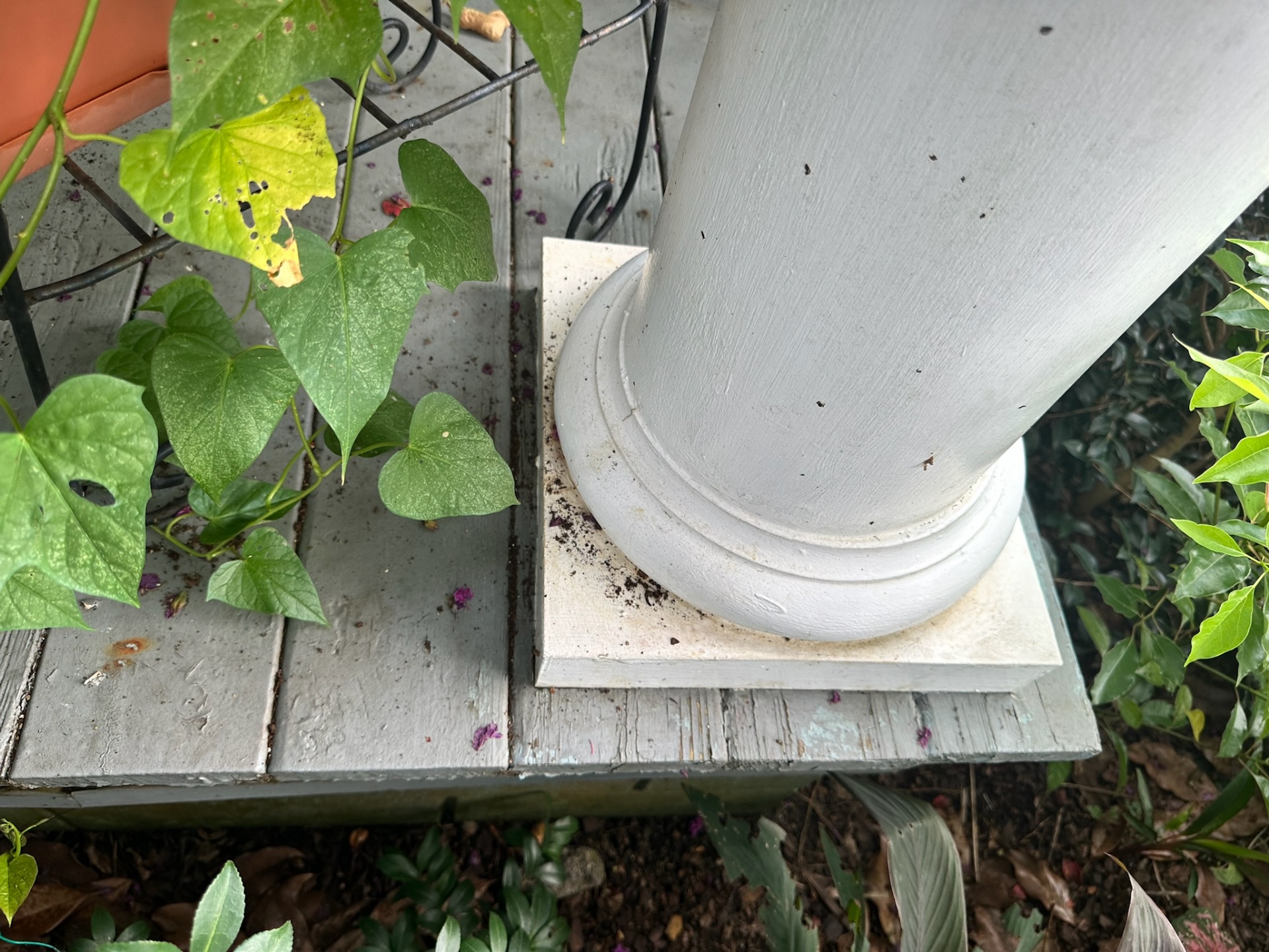 Before close-up of paint-chipped porch decking at column base