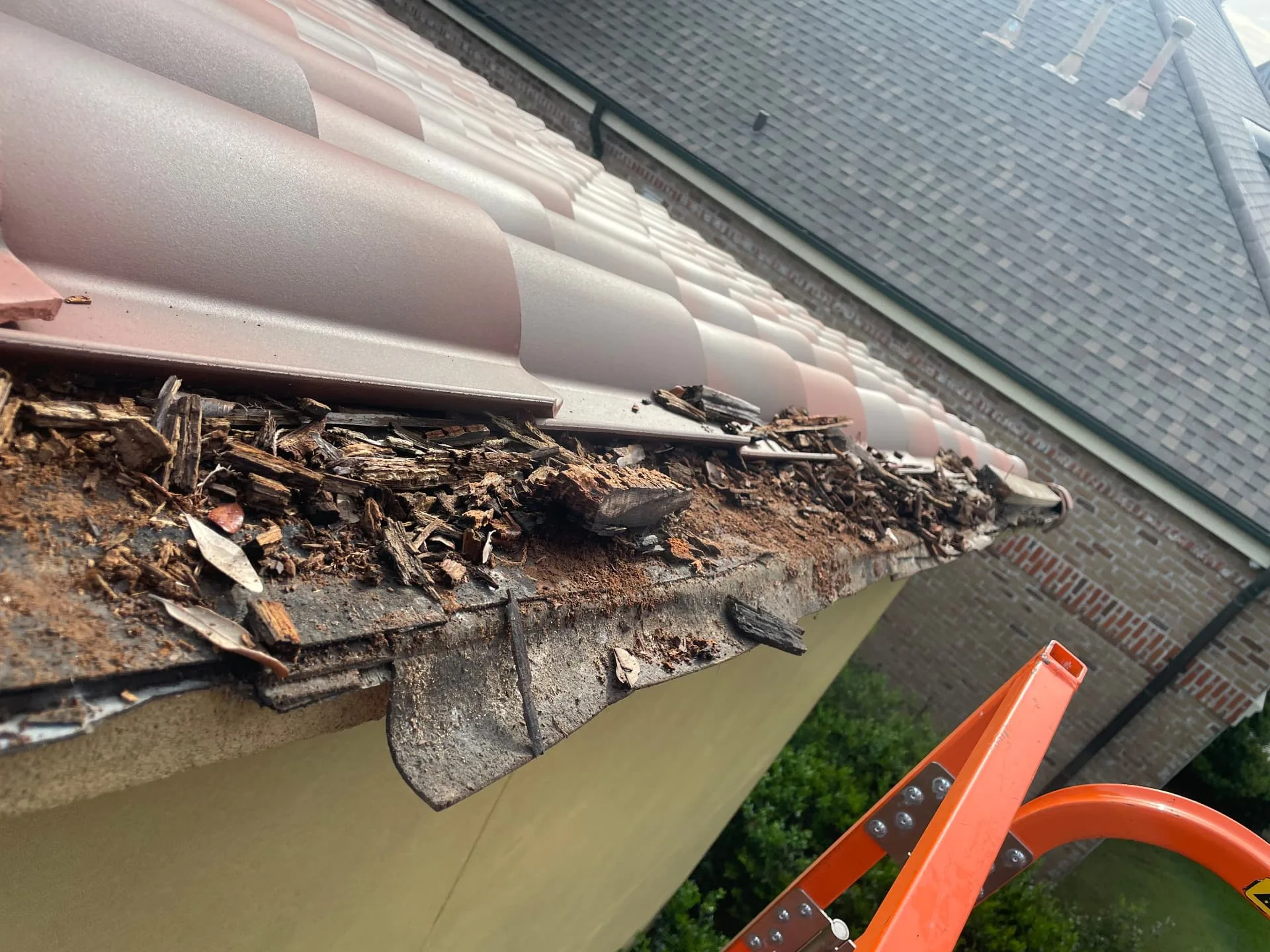 Rotten fascia board and decayed wood debris exposed under terra cotta eave tiles on a Metairie Louisiana home