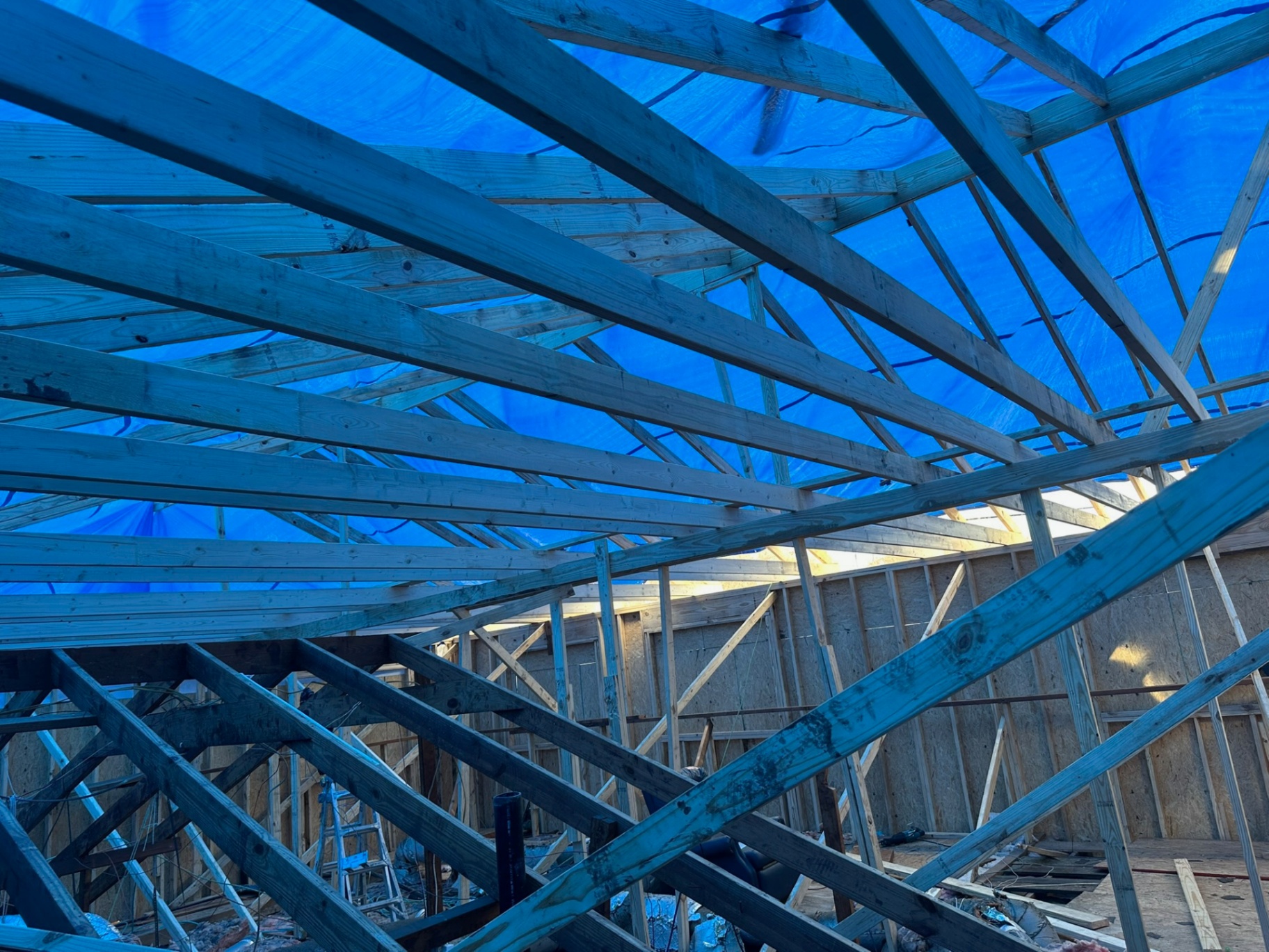 New roof rafters being set inside Metairie second-floor framing with a full blue tarp draped overhead protecting the open structure from weather