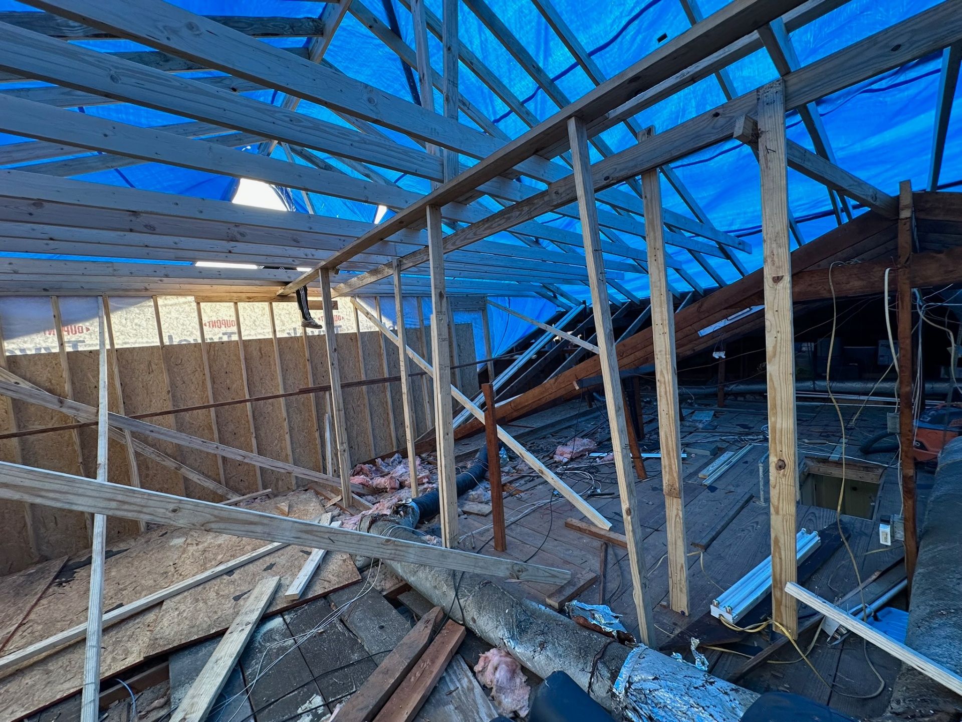 Inside Metairie attic with original ceiling joists and insulation exposed and a full blue tarp roof suspended overhead keeping the home dry during second-floor tear-off