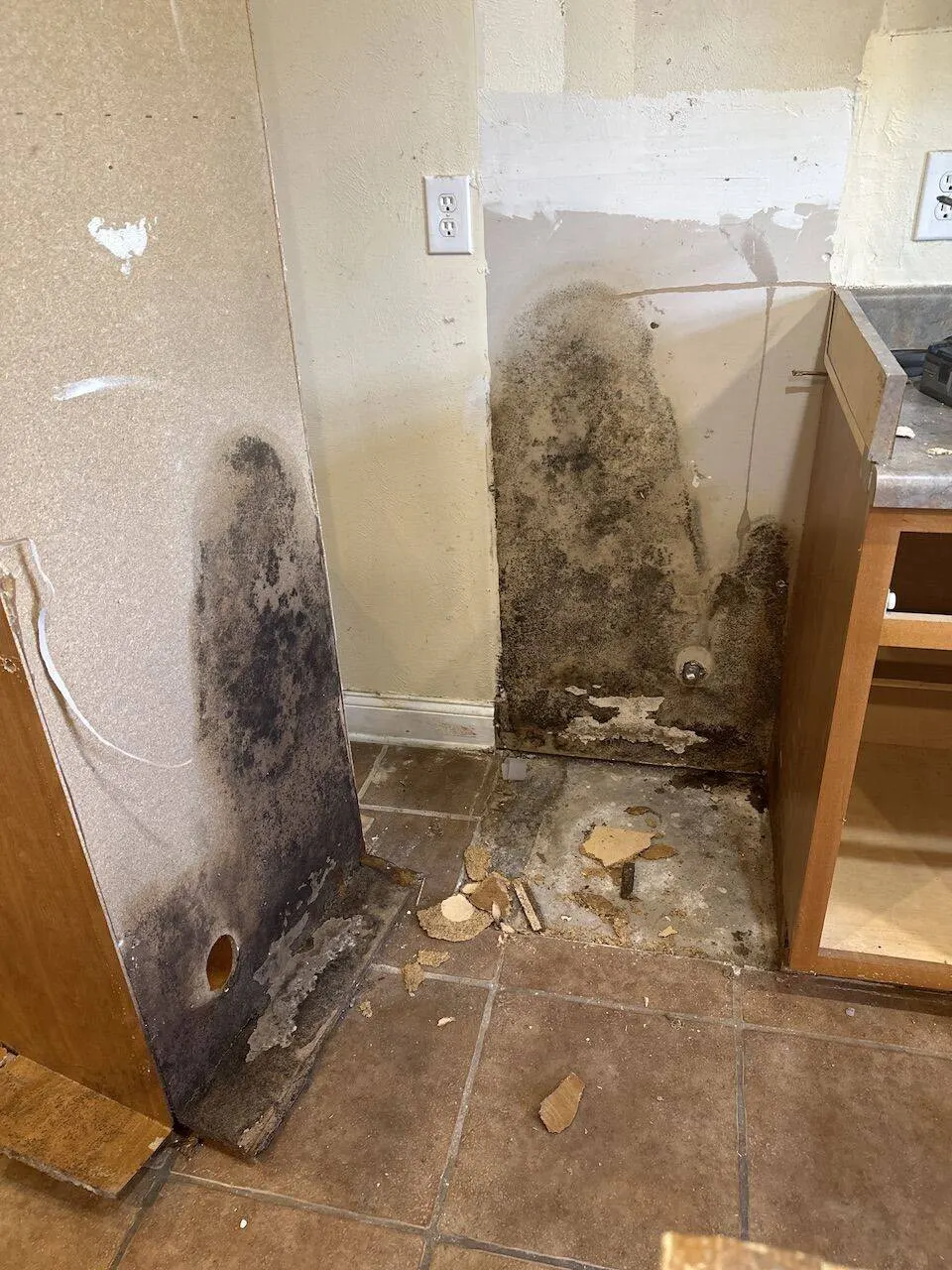 Severe black mold growth behind kitchen cabinets from water damage discovered during renovation in Metairie Louisiana