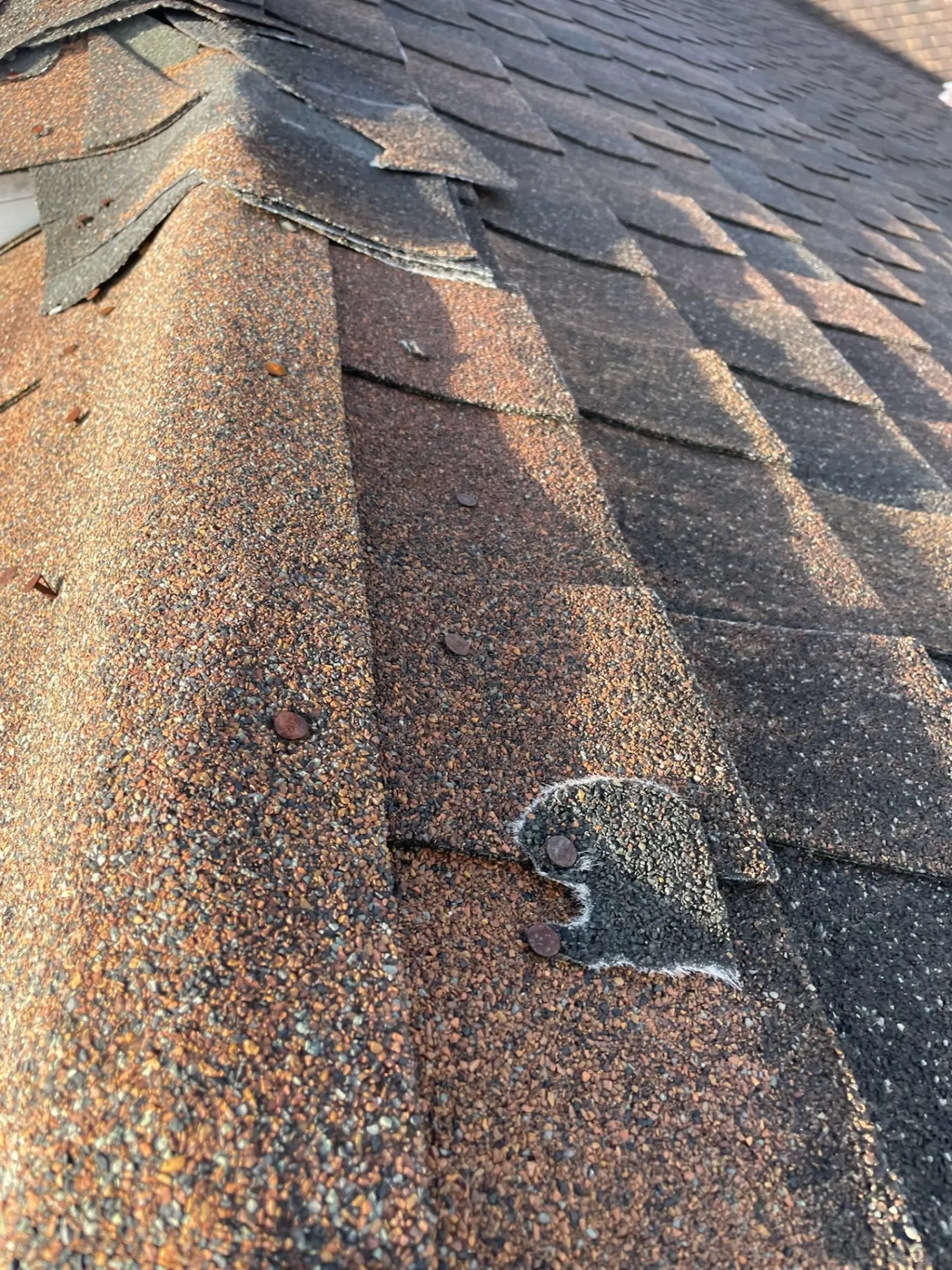 Close-up of torn and shredded ridge cap shingles with exposed nails and severe granule loss on an aged Destrehan Louisiana asphalt shingle roof before full re-roof replacement by Cajun Home Services