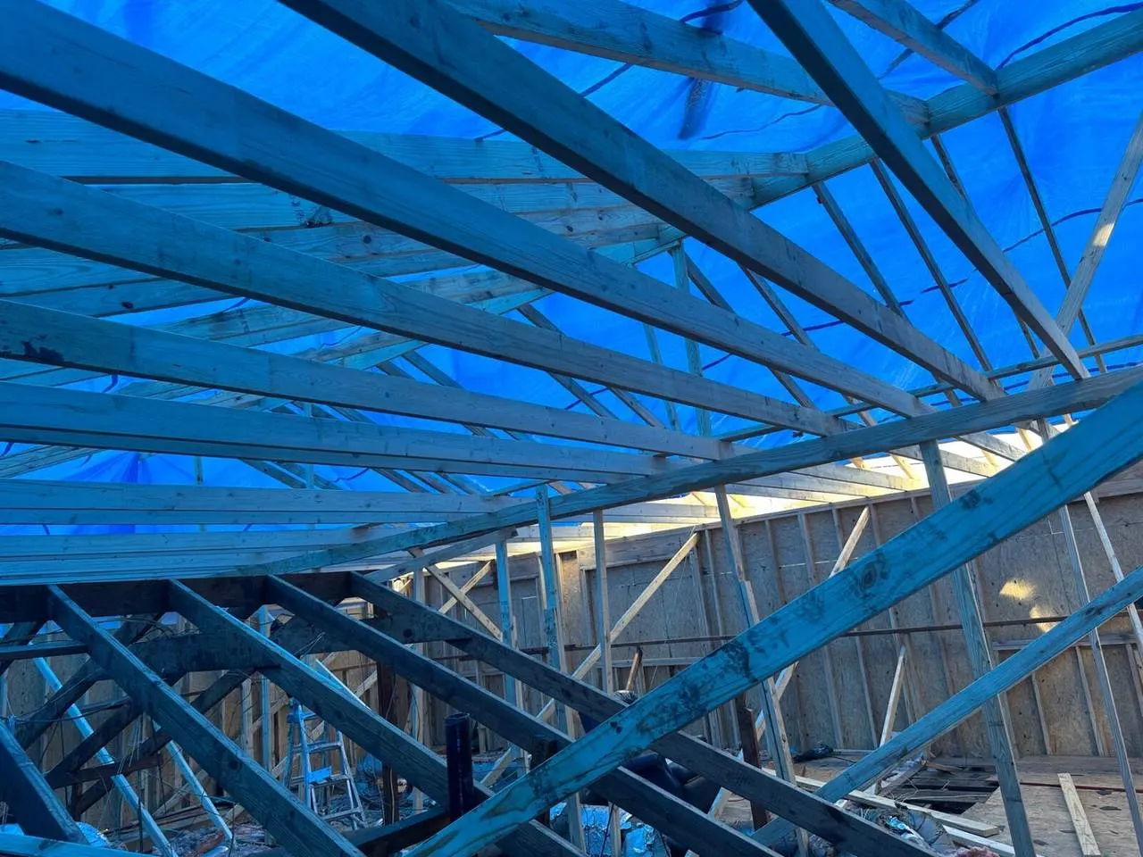 Interior roof rafter framing with blue tarp protection on Metairie addition